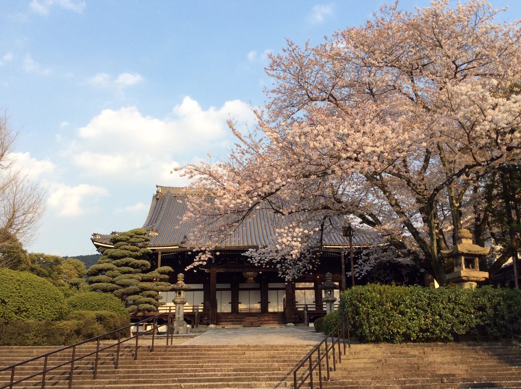 京都旅游季節(jié)攻略